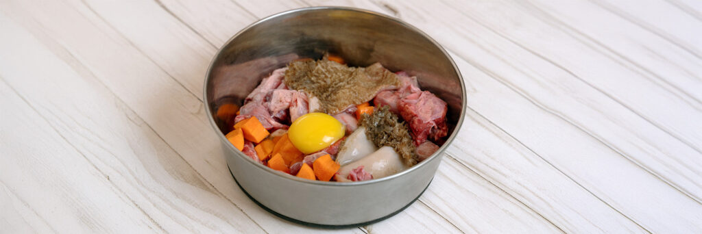 Why Great Pet Food Isn’t Enough: The Missing Nutrition Link